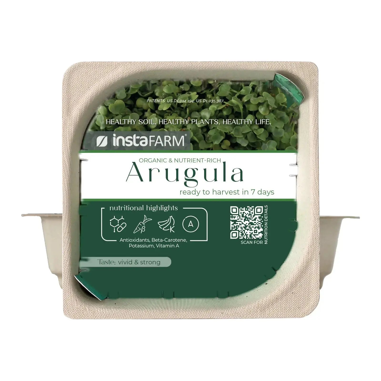 Organic Arugula Microgreen Seeds with soil lid