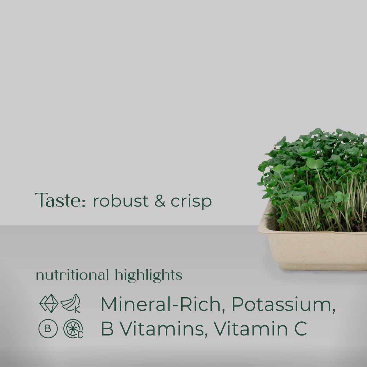 Broccoli Microgreen Grow Nutrition