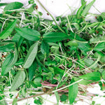 Hormone Microgreen Blend Pile