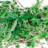 Hormone Microgreen Blend Pile