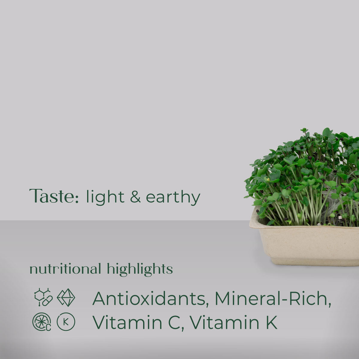 Kale Micro green Grow Nutrition