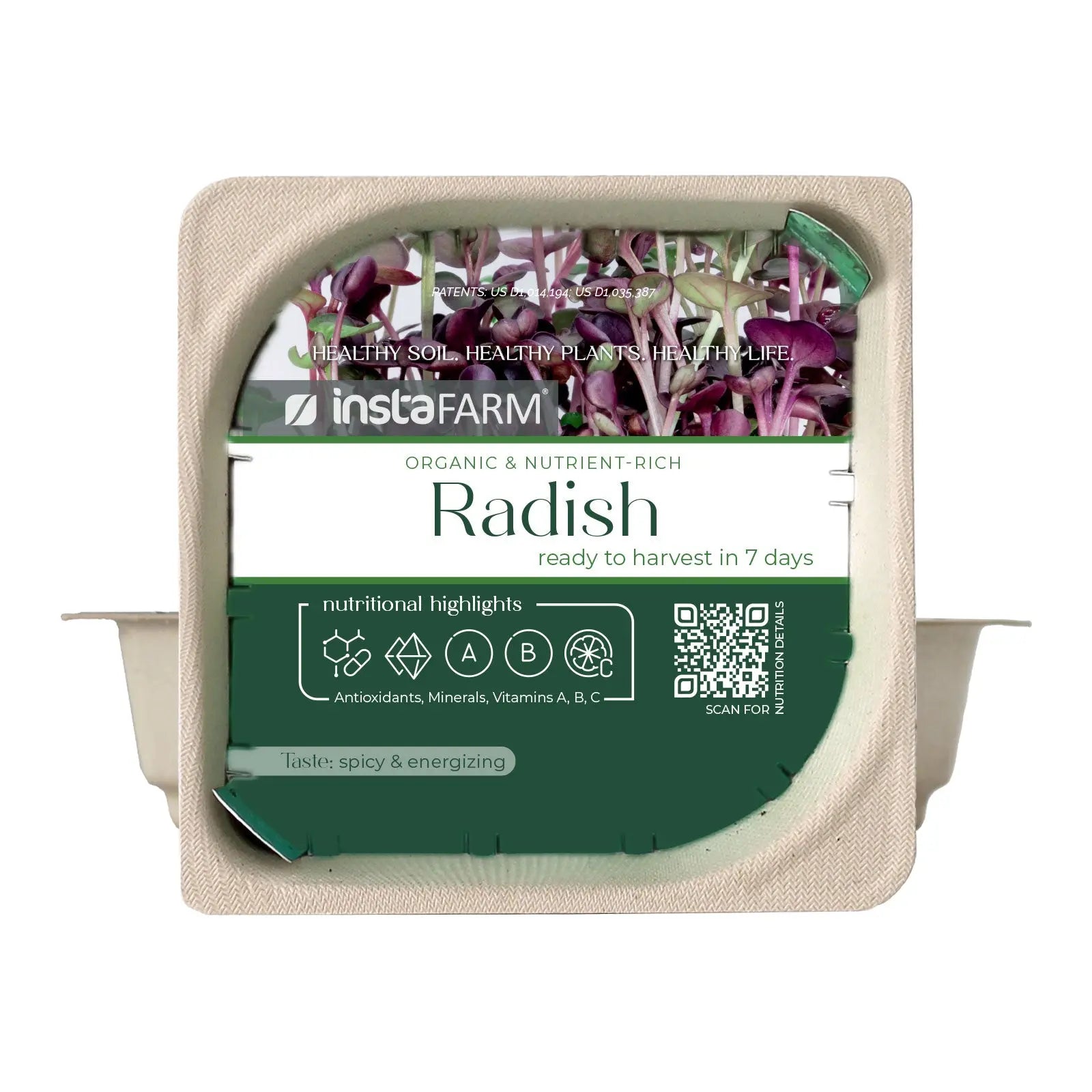 Fresh Organic Radish Microgreen seed and Soil Lid