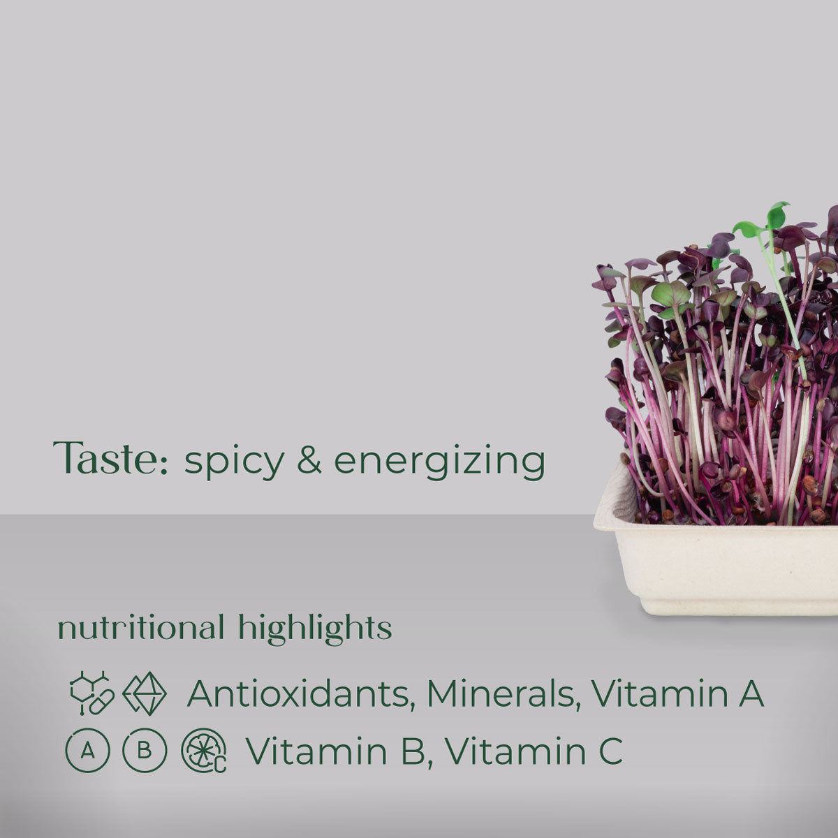 Radish Microgreen Grow Nutrition