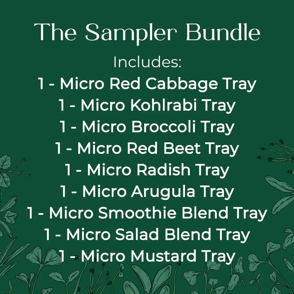 micro green seed and soil sampler - red cabbage, kohlrabi, broccoli, red beet, radish, arugula, mustard