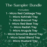 micro green seed and soil sampler - red cabbage, kohlrabi, broccoli, red beet, radish, arugula, mustard