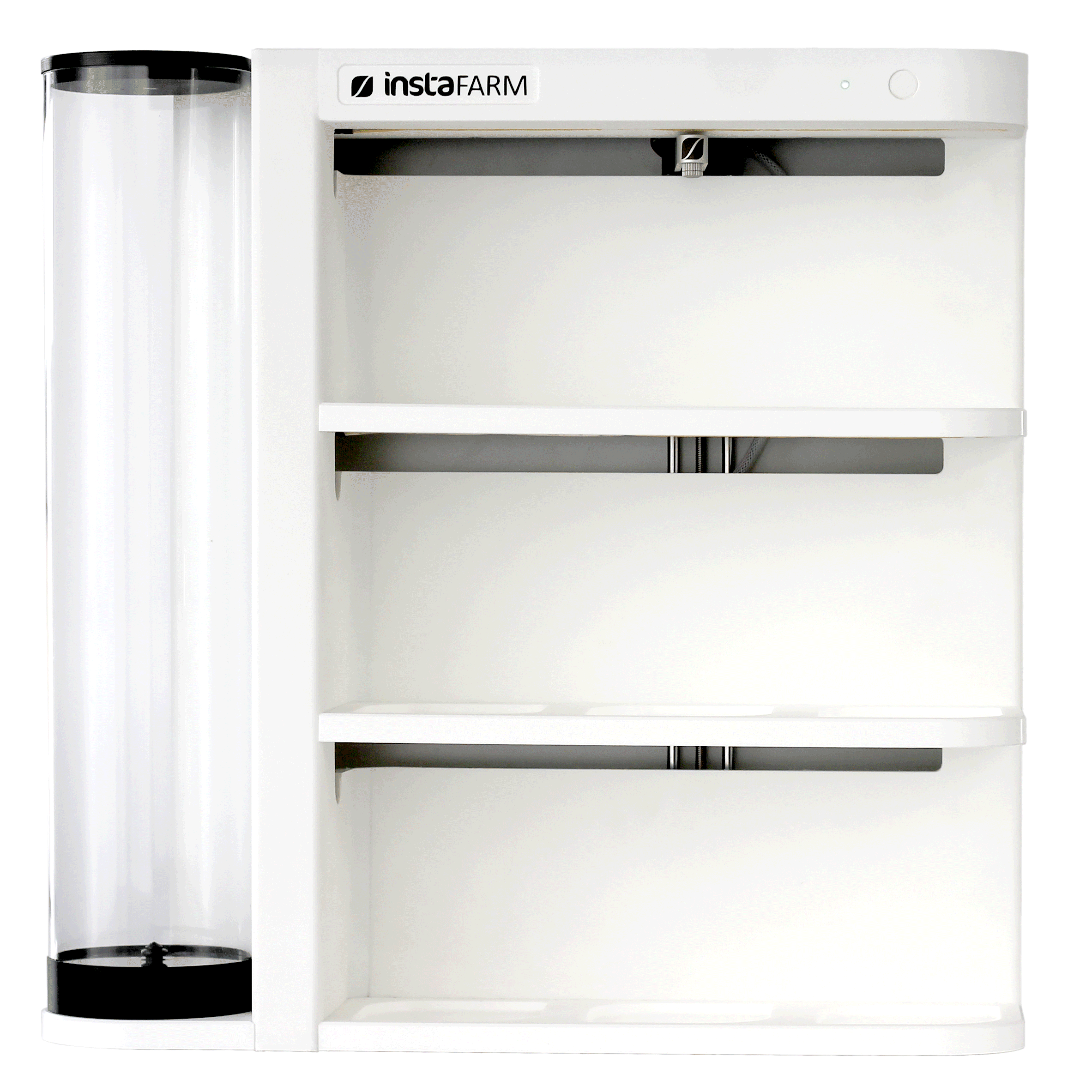 Grow microgreens at home easy