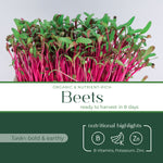 red_beet_microgreen_highlight_cover