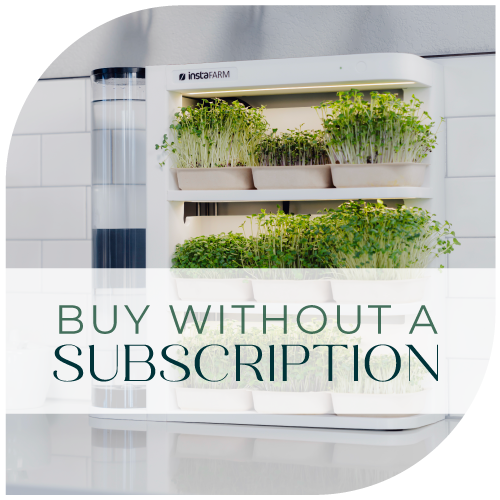 microgreen growing kit organic easy