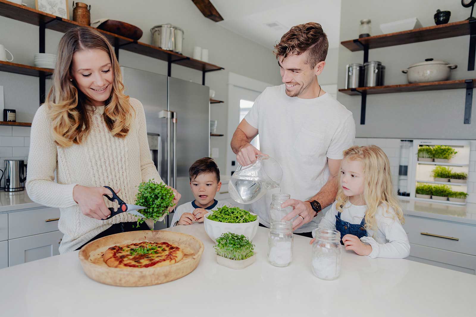 fresh growing microgreens for your family kit