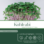 kohlrabi_microgreen_highlight_cover