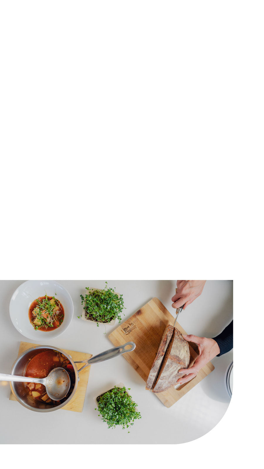 Farm to table fresh microgreens with soup