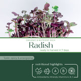 radish_microgreen_highlight_cover