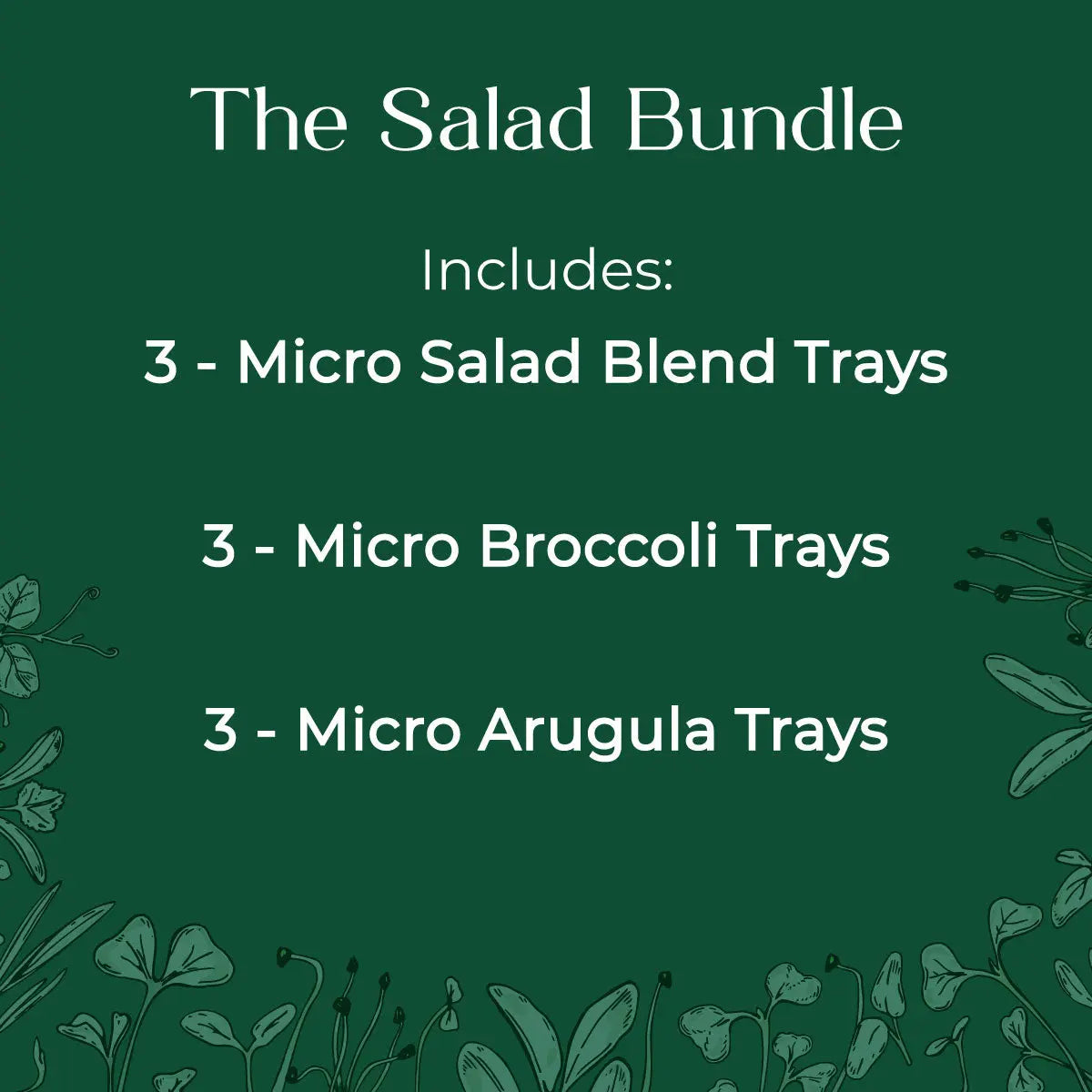 salad blend microgreens kit broccoli arugula