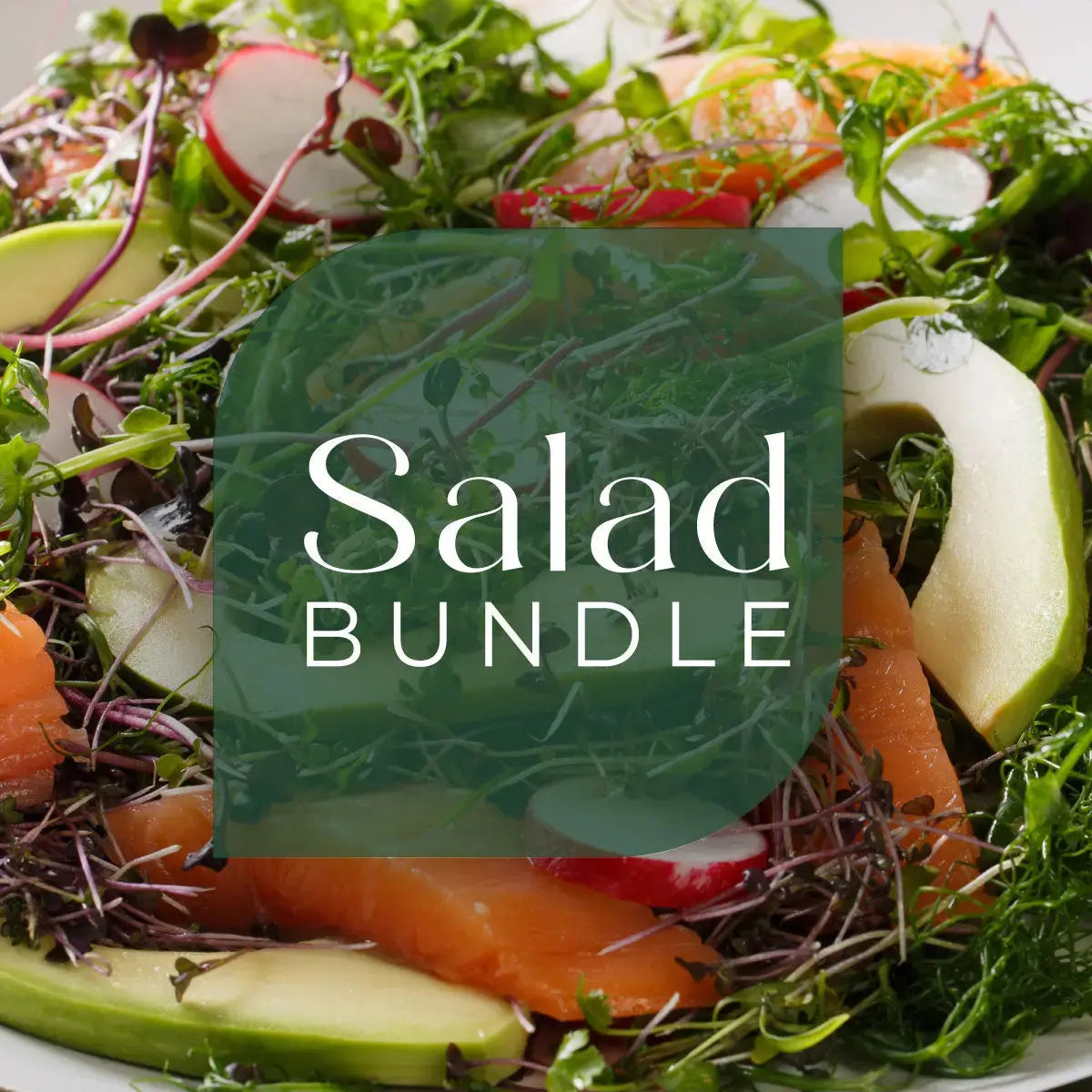 microgreen salad blend broccoli arugula