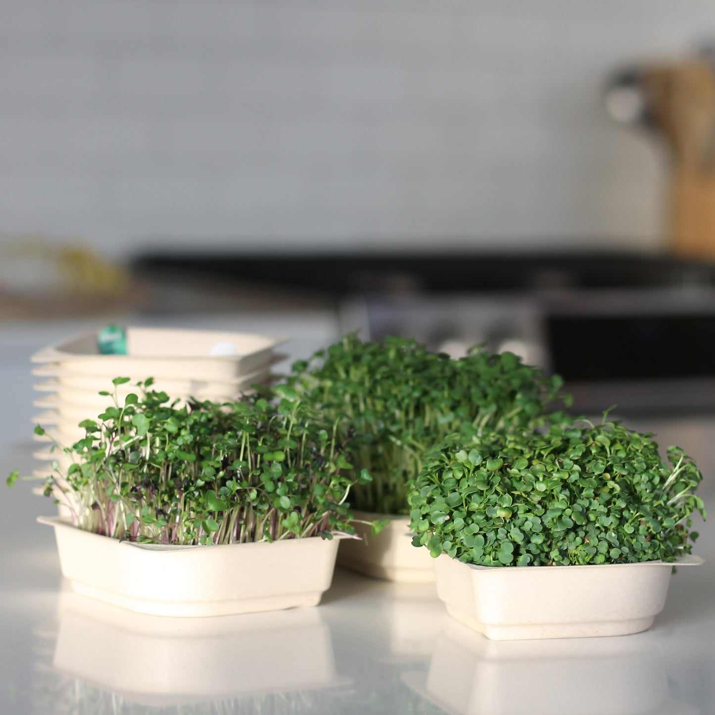 The Instafarm - The automated in-home growing appliance (Classic Bundle)