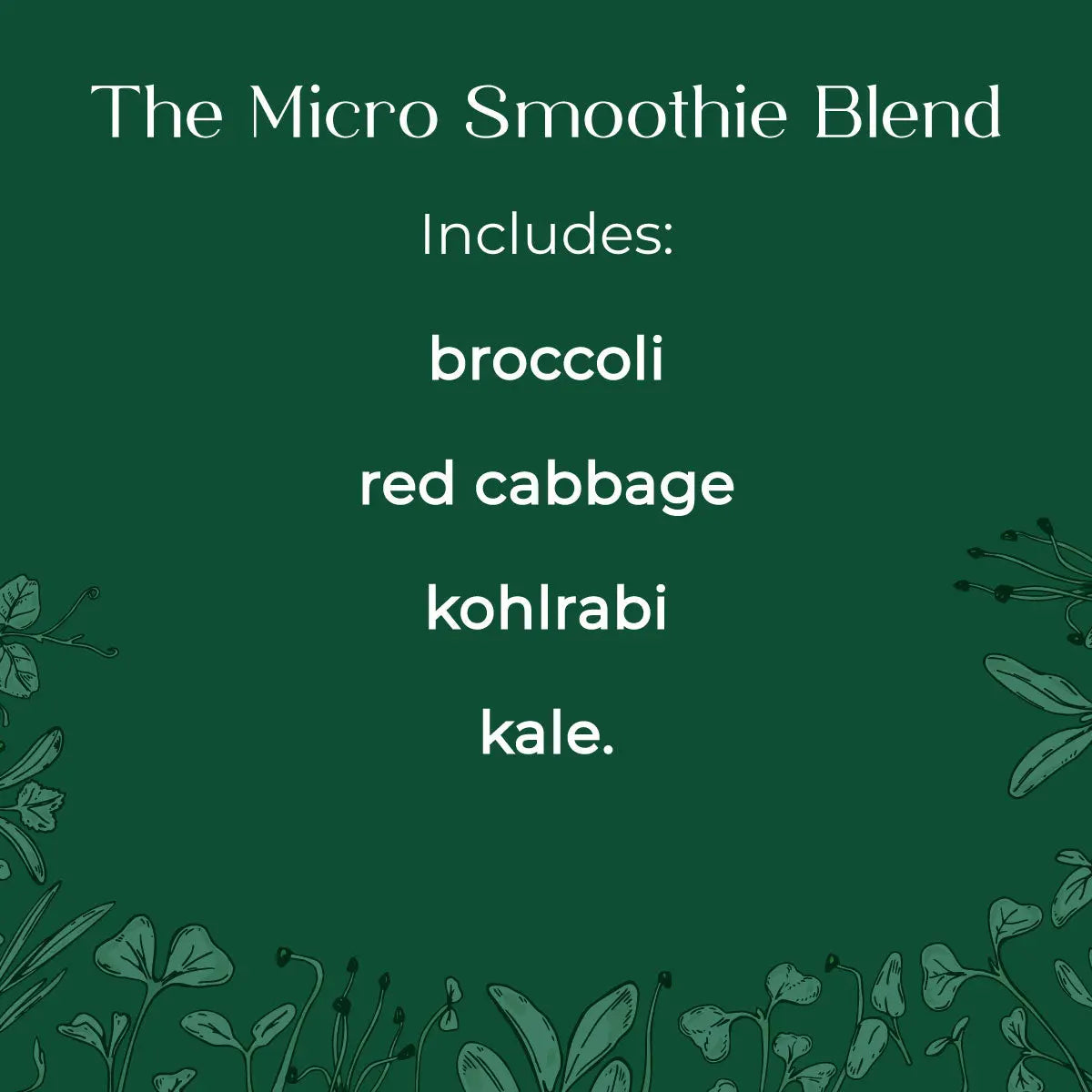 Organic Smoothie Microgreen Blend seeds with soil kit - Broccoli, Red Cabbage, Kohlrabi, Kale