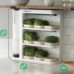 Compact Microgreen system -Automated watering - LED Growing Light