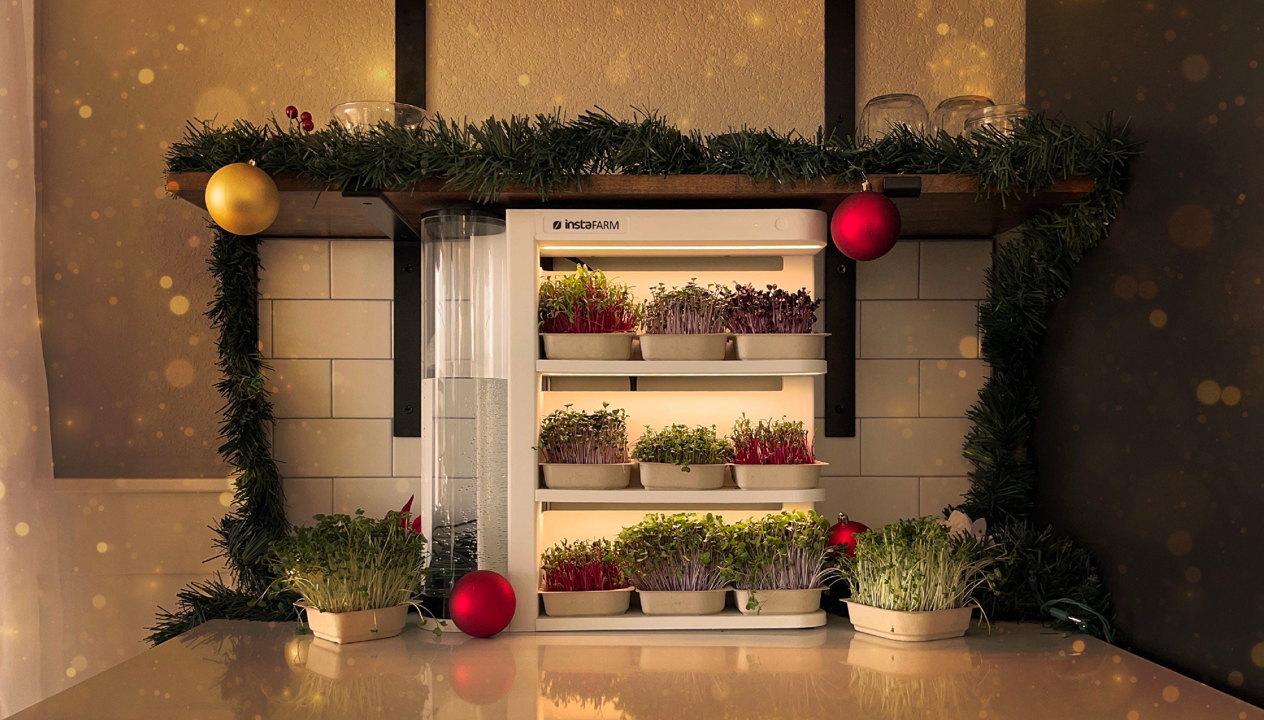 Instafarm Featured in Yahoo 2024 Gift Guide