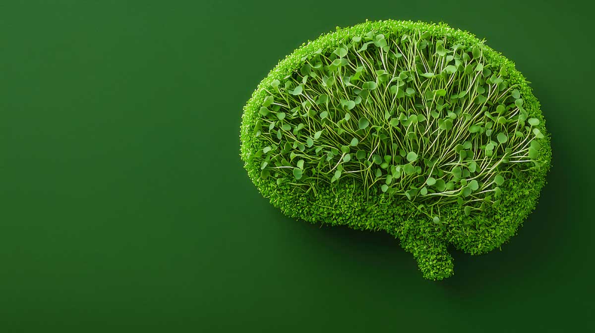 How do microgreens support cognitive health