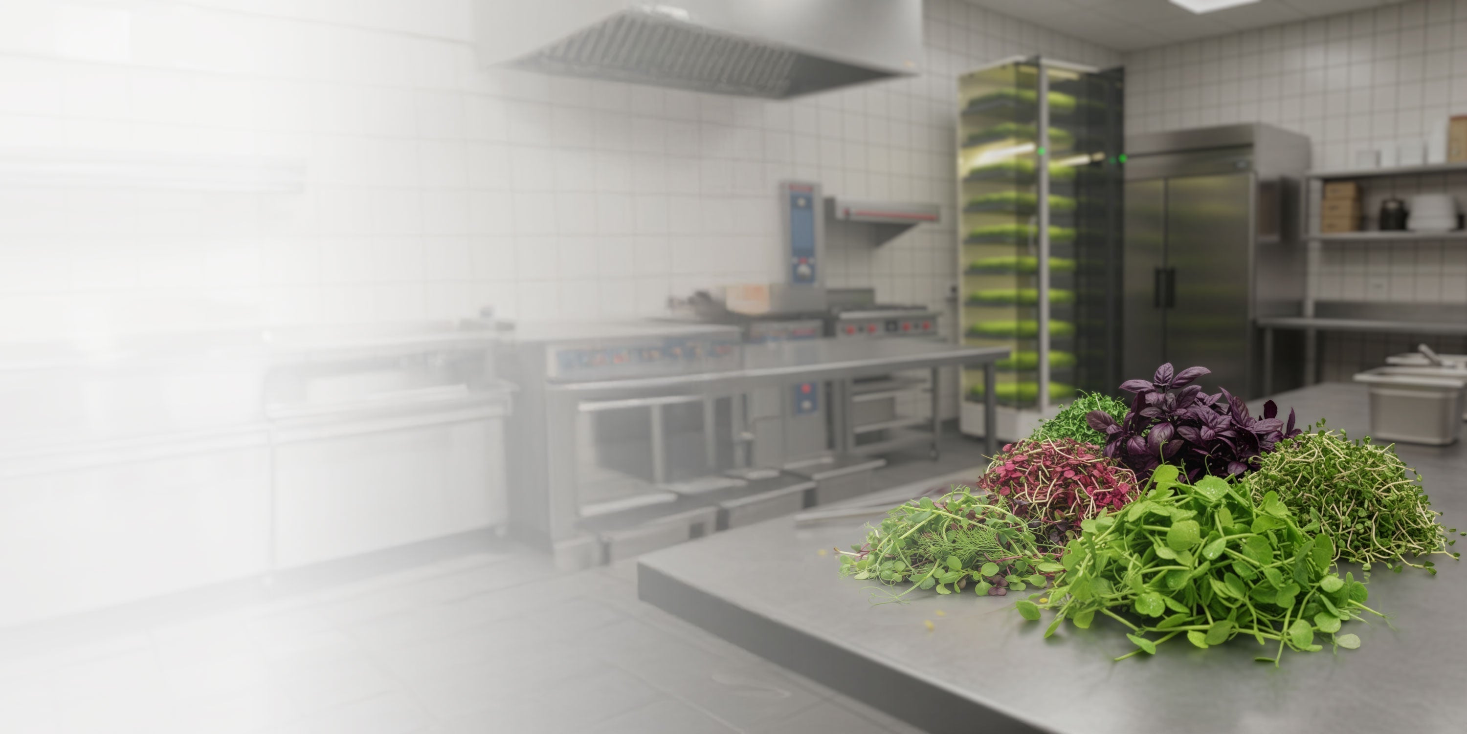 Explore the Future of Food Tech — See the Instafarm Commercial Unit at CES 2026