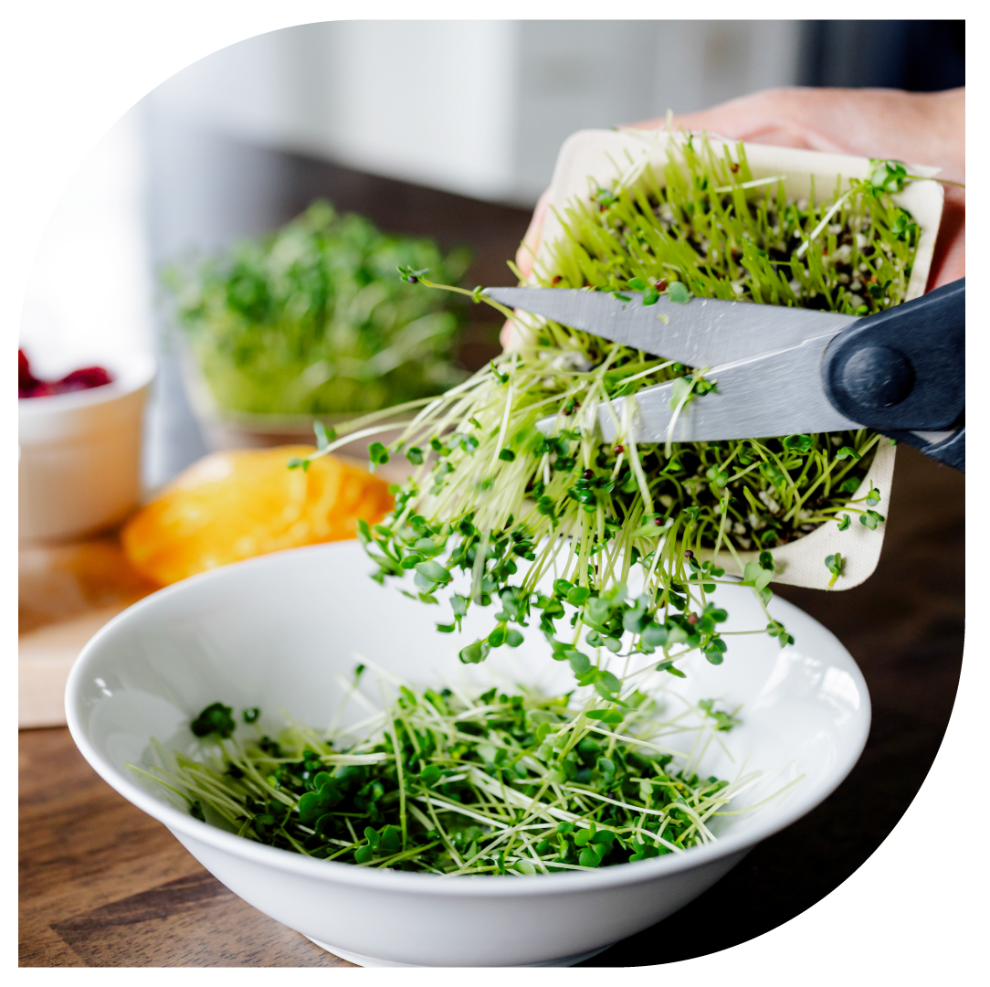 What are the best ways to incorporate microgreens into daily meals