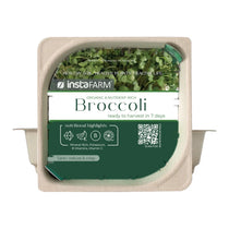 Organic Broccoli Microgreen Seeds with soil lid