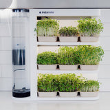 Instafarm Lease - Automated microgreen growing kit