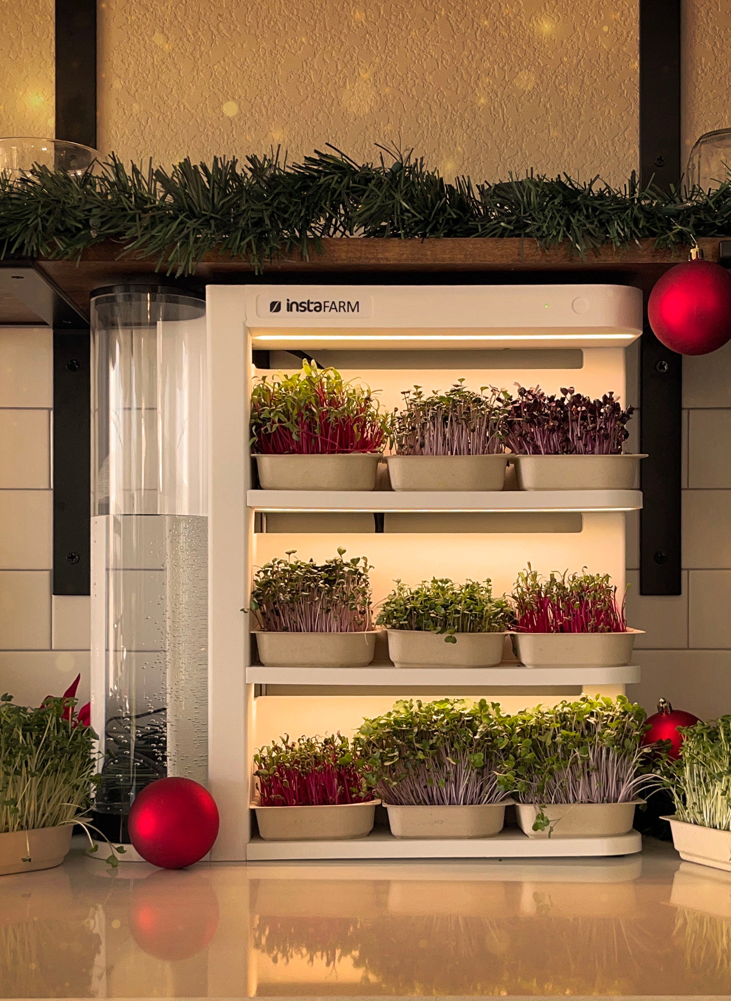 Deck the Halls with Home-Grown Greens