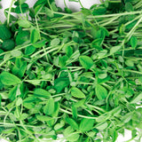 Micro Peas - 9 Tray Pack