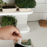 Instafarm (Countertop Farm Lease) + 4 Bundles (36 Trays)