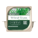 Micro Wheat Grass - 9 Tray Pack