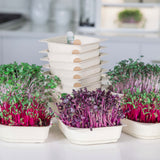 Color Bundle - 9 Tray Pack