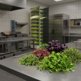 Instafarm Commercial Growing - Pre Order