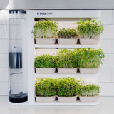 Easy automated microgreen growing seed and soil kit