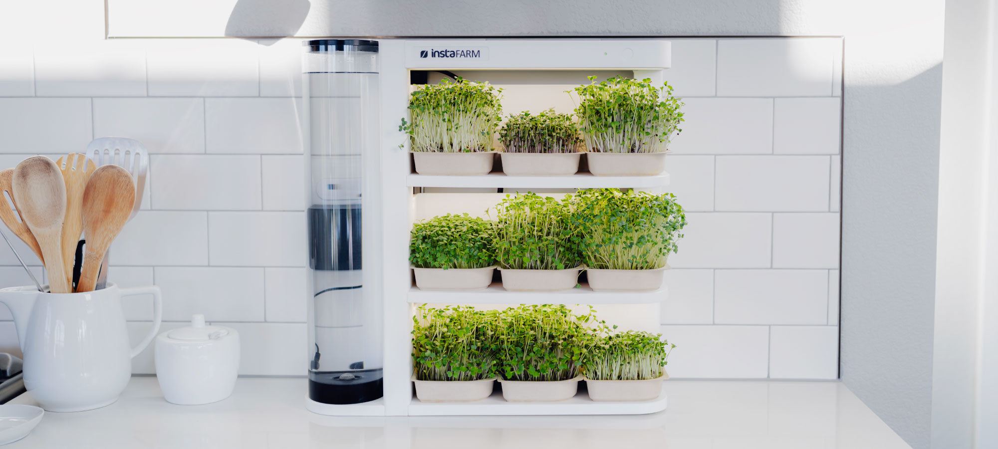 Easy automated microgreen growing seed and soil kit