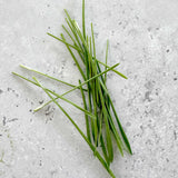 Micro Wheat Grass - 9 Tray Pack (ClassWallet)