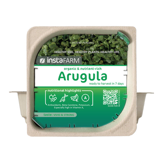 Micro Arugula - 9 Tray Pack