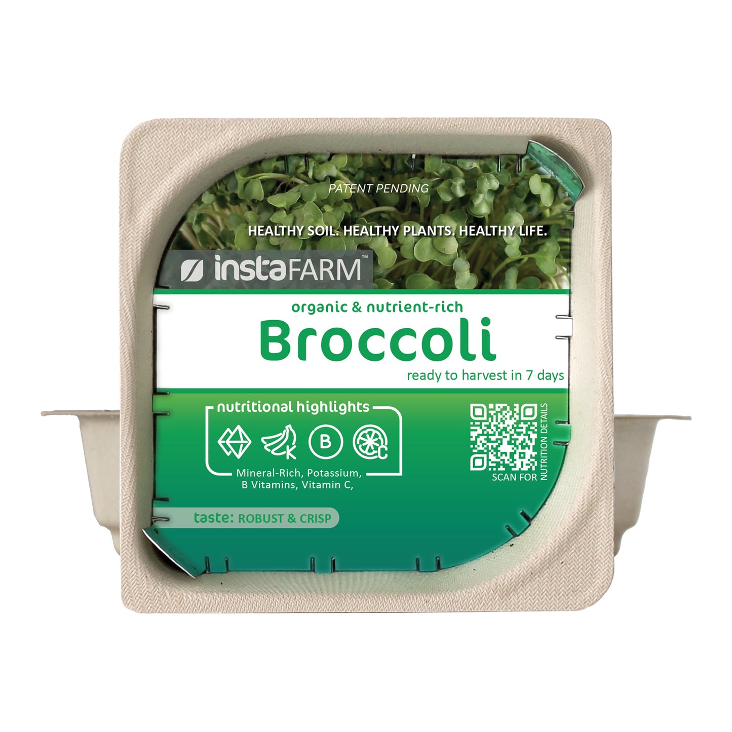 Micro Broccoli - 9 Tray Pack