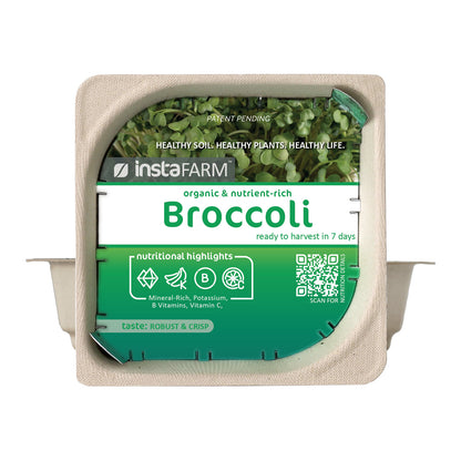 Micro Broccoli - 9 Tray Pack