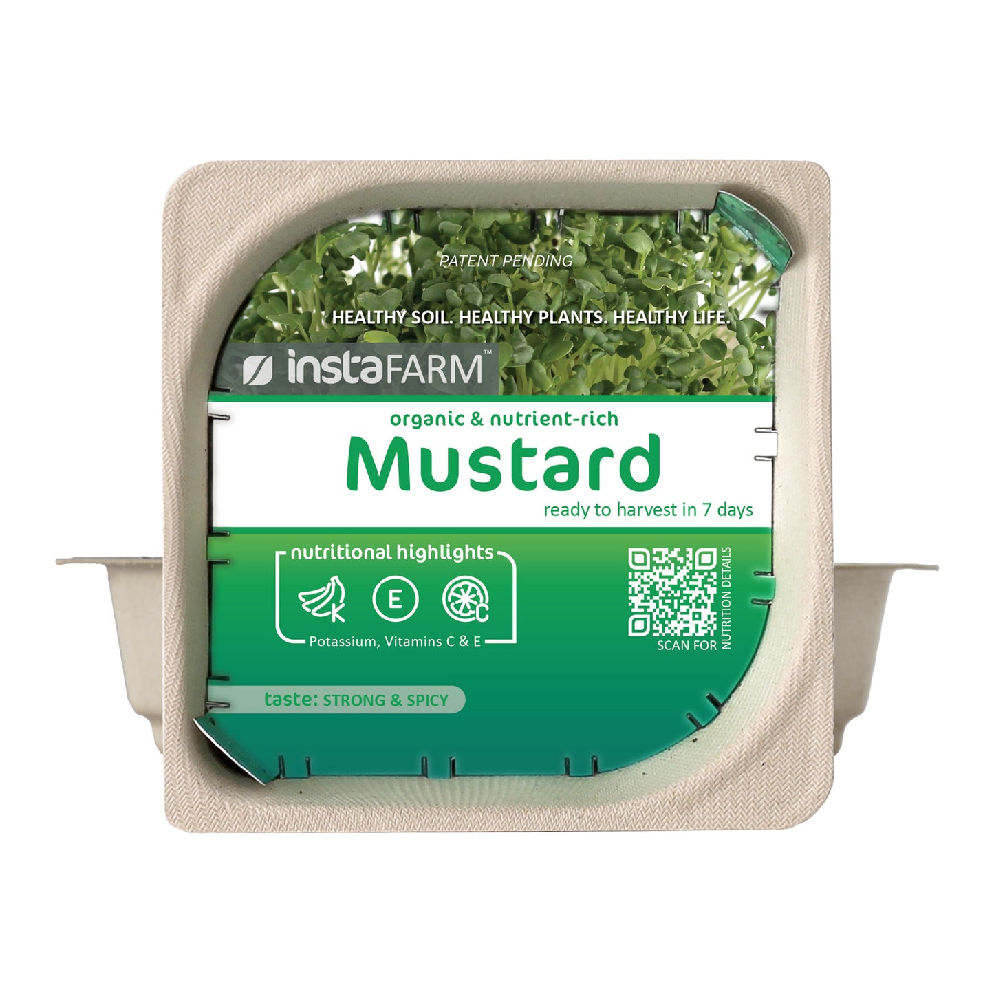 Micro Mustard - 9 Tray Pack