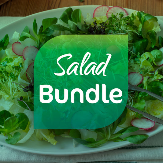 Salad Bundle - 9 Tray Pack