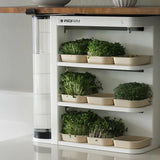 Automated and compact microgreen growing kitchen kit - LED light and watering